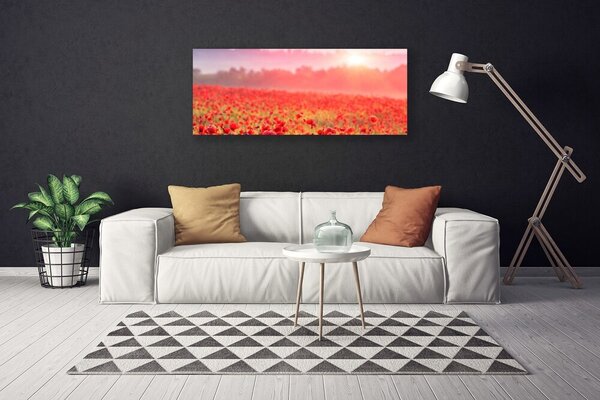 Obraz na plátne Lúka kvety príroda 125x50 cm