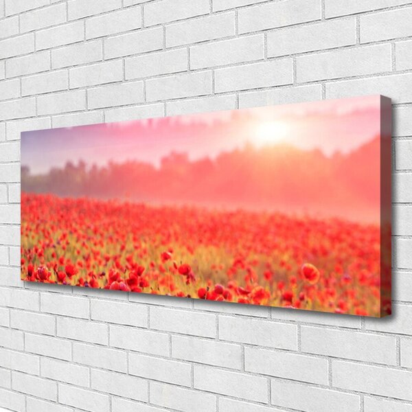Obraz na plátne Lúka kvety príroda 125x50 cm