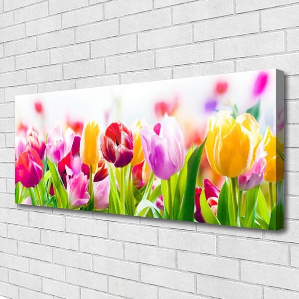 Obraz na plátne Tulipány kvety 125x50 cm