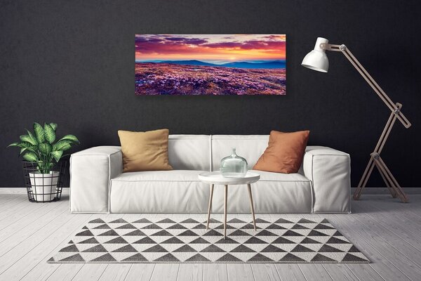 Obraz na plátne Lúka hory kvety príroda 125x50 cm