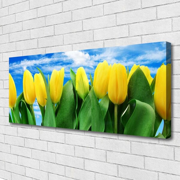 Obraz na plátne Tulipány kvety 125x50 cm