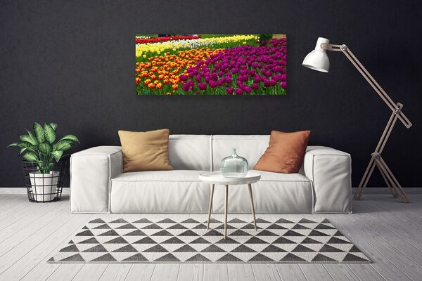 Obraz na plátne Tulipány kvety 125x50 cm