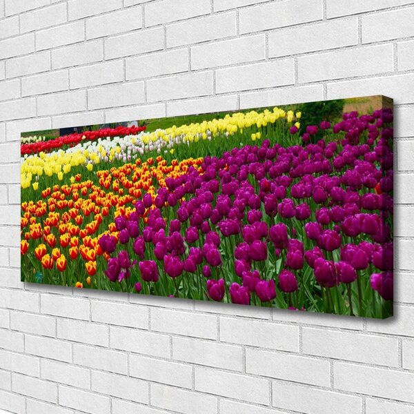 Obraz na plátne Tulipány kvety 125x50 cm