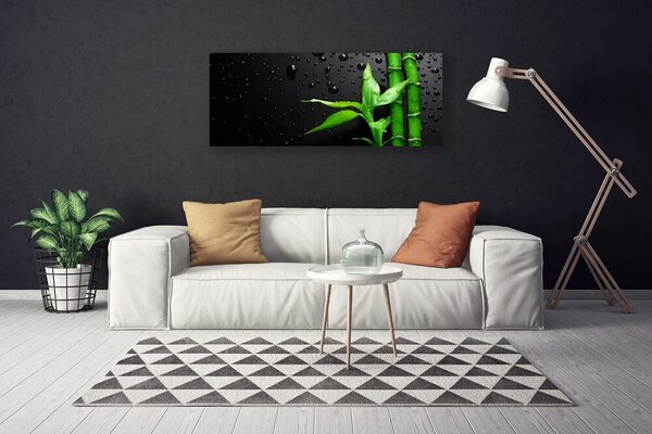 Obraz na plátne Bambus listy rastlina 125x50 cm