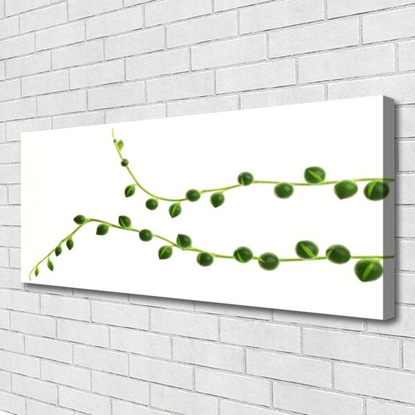 Obraz na plátne Dekoratívne rastlina 125x50 cm
