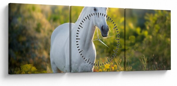 Obraz bieleho koňa na lúke (s hodinami) (90x30 cm)