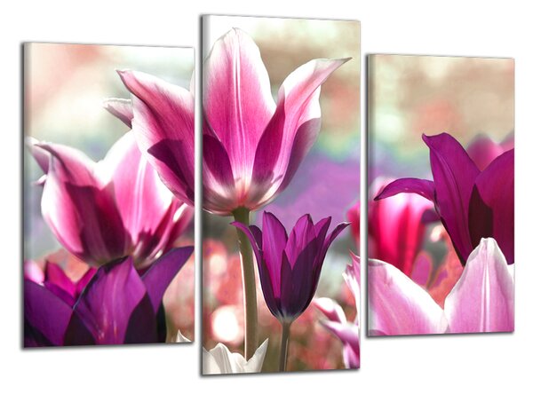 Moderný obraz Fialové tulipány