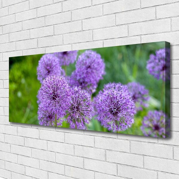 Obraz Canvas Fialové kvety lúka 125x50 cm