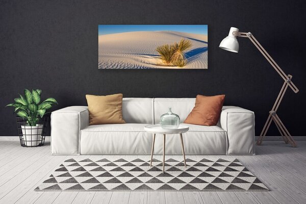 Obraz na plátne Púšť krajina 125x50 cm