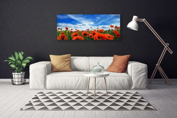 Obraz Canvas Lúka maky kvety 125x50 cm