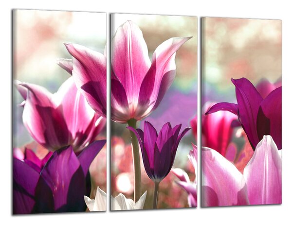 Moderný obraz Fialové tulipány