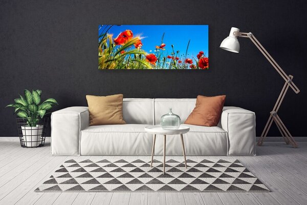 Obraz Canvas Kvety maky pole trávy 125x50 cm