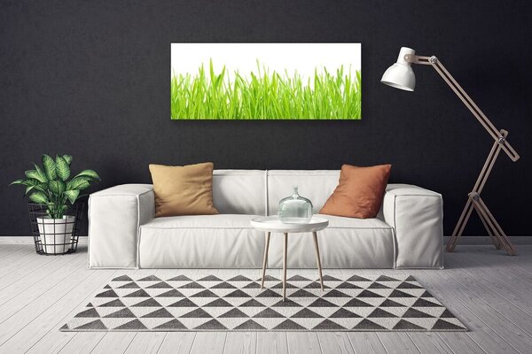 Obraz Canvas Tráva príroda rastlina 125x50 cm