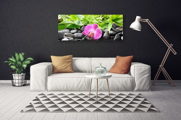 Obraz Canvas Kvety orchidea kamene zen 125x50 cm
