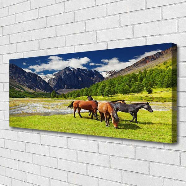 Obraz Canvas Hory stromy kone zvieratá 125x50 cm