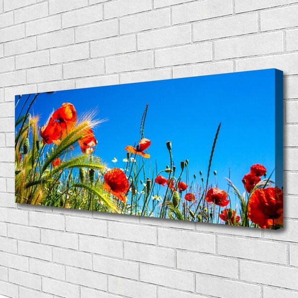 Obraz Canvas Kvety maky pole trávy 125x50 cm