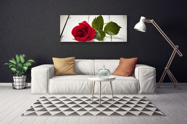 Obraz Canvas Ruže kvet rastlina 125x50 cm