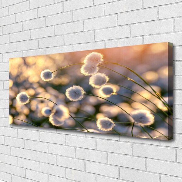Obraz Canvas Kvety rastlina príroda 125x50 cm