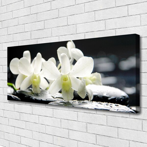 Obraz Canvas Kamene kvety orchidea 125x50 cm