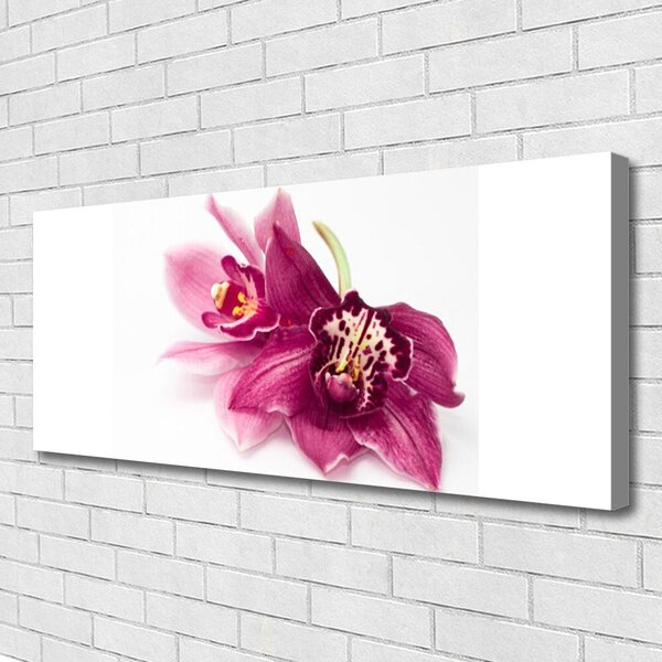 Obraz Canvas Kvety rastlina príroda 125x50 cm