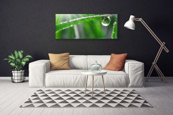 Obraz Canvas Kvapka rosa list tráva 125x50 cm