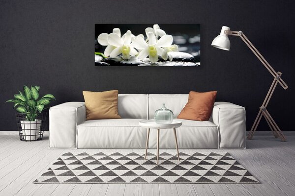 Obraz Canvas Kamene kvety orchidea 125x50 cm