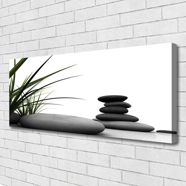 Obraz Canvas Kamene zen tráva 125x50 cm