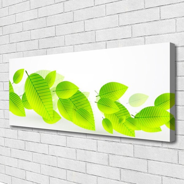Obraz Canvas Listy kvety príroda 125x50 cm
