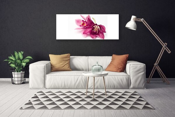 Obraz Canvas Kvety rastlina príroda 125x50 cm