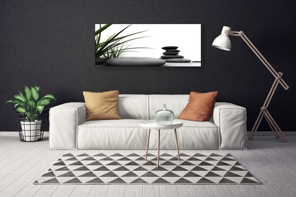 Obraz Canvas Kamene zen tráva 125x50 cm