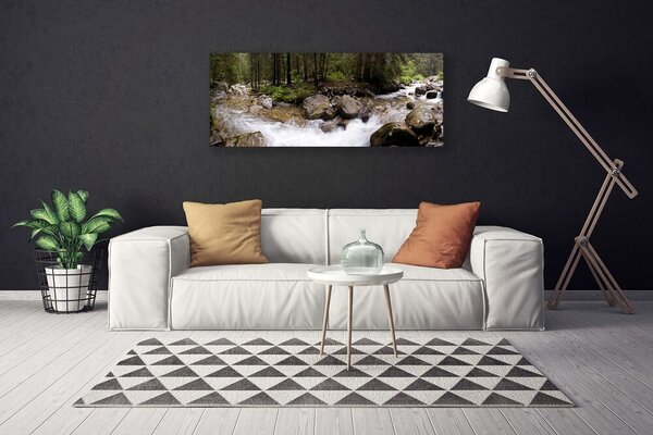Obraz Canvas Les rieka vodopády 125x50 cm