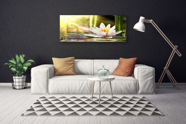 Obraz Canvas Kvet vodné lilie 125x50 cm
