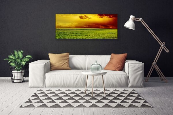 Obraz Canvas Pole príroda 125x50 cm