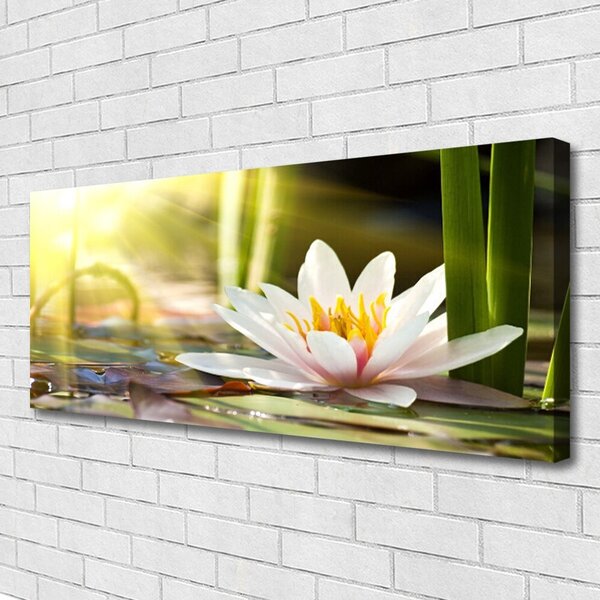 Obraz Canvas Kvet vodné lilie 125x50 cm
