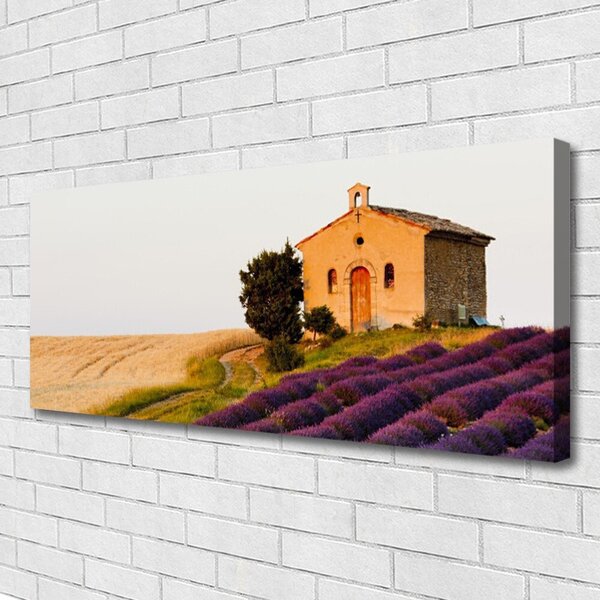 Obraz Canvas Pole príroda 125x50 cm