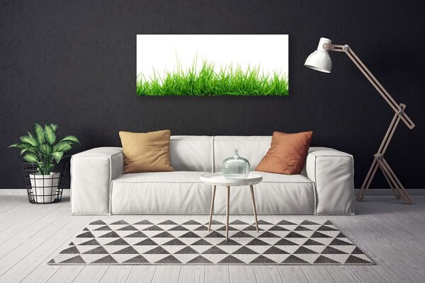 Obraz Canvas Tráva príroda rastlina 125x50 cm