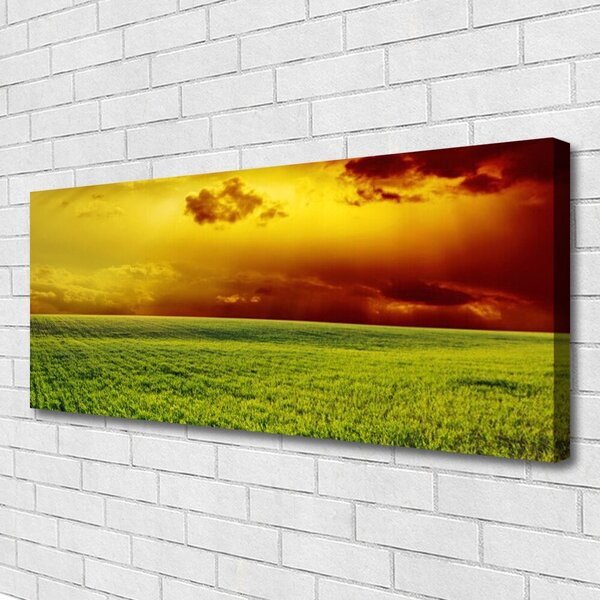 Obraz Canvas Pole príroda 125x50 cm