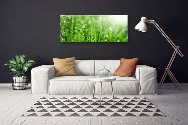Obraz Canvas Príroda tráva kvapky 125x50 cm