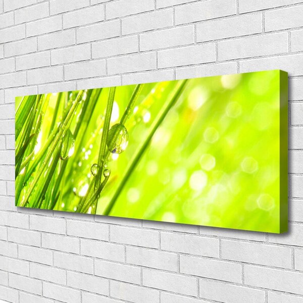 Obraz Canvas Príroda kvapky tráva 125x50 cm