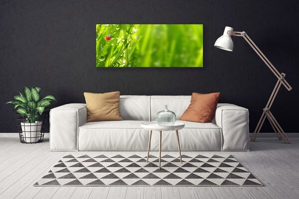 Obraz Canvas Tráva lienka príroda 125x50 cm