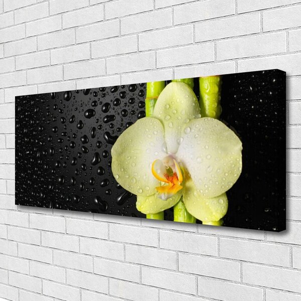 Obraz Canvas Bambus kvet orchidea 125x50 cm