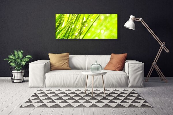 Obraz Canvas Príroda kvapky tráva 125x50 cm