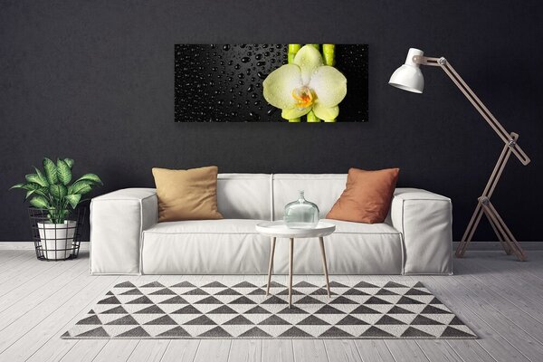 Obraz Canvas Bambus kvet orchidea 125x50 cm