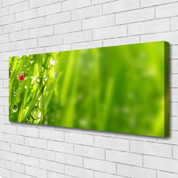 Obraz Canvas Tráva lienka príroda 125x50 cm