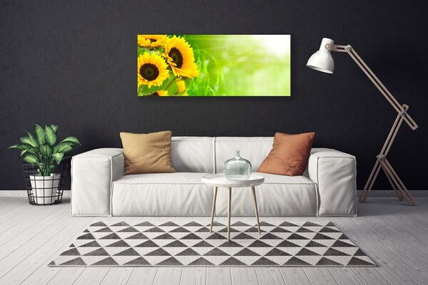 Obraz na plátne Slnečnicami rastlina 125x50 cm
