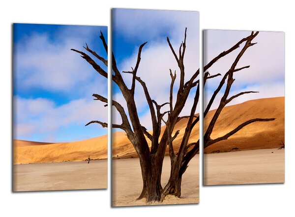 Obraz na plátne Stromy v púšti