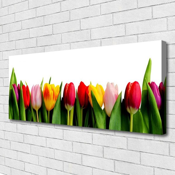 Obraz na plátne Tulipány rastlina 125x50 cm