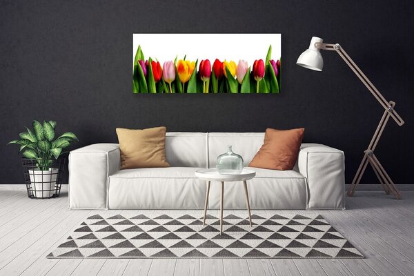 Obraz na plátne Tulipány rastlina 125x50 cm