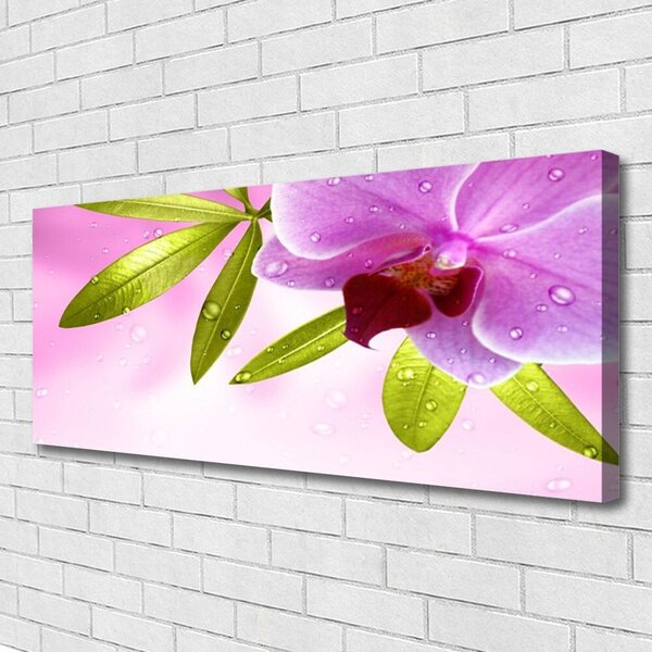 Obraz na plátne Kvet listy rastlina 125x50 cm