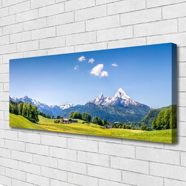 Obraz na plátne Pole stromy hory príroda 125x50 cm